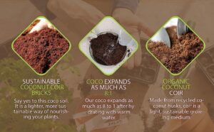 Coco Coir Picture