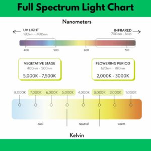 Full Spectrum Light Chart
